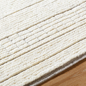 Davey BODV-2300 9' x 12' Handmade Rug BODV2300-912  Light Beige Surya