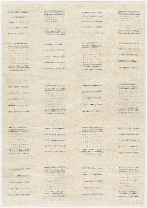 Davey BODV-2302 9' x 12' Handmade Rug BODV2302-912  Desert Tan, Khaki Surya