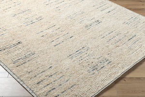 Davey BODV-2302 9' x 12' Handmade Rug BODV2302-912  Desert Tan, Khaki Surya
