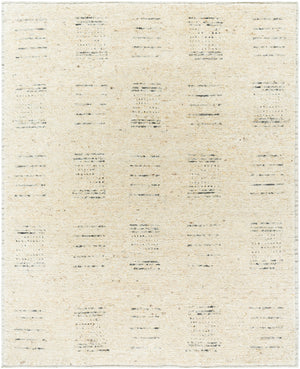 Davey BODV-2302 8' x 10' Handmade Rug BODV2302-810  Desert Tan, Khaki Surya