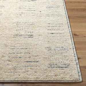 Davey BODV-2302 9' x 12' Handmade Rug BODV2302-912  Desert Tan, Khaki Surya
