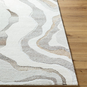 Buenos Aires BOE-2301 9' x 12' Handmade Rug BOE2301-912  Off-White, Light Silver, Silver Surya