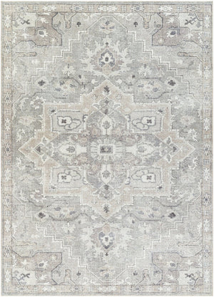 Livabliss Elle Traditional Pattern Polyester Accent Rug for Entryways and Cozy Bedroom Spaces Sage, White 6'7" x 9' BOEC2301-679
