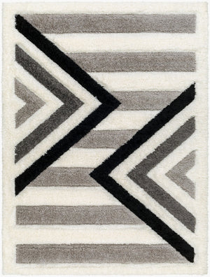 Livabliss Bologna Plush Turkish Polyester Area Rug for Modern Living Rooms and Bedroom Floors BOG2314-71010