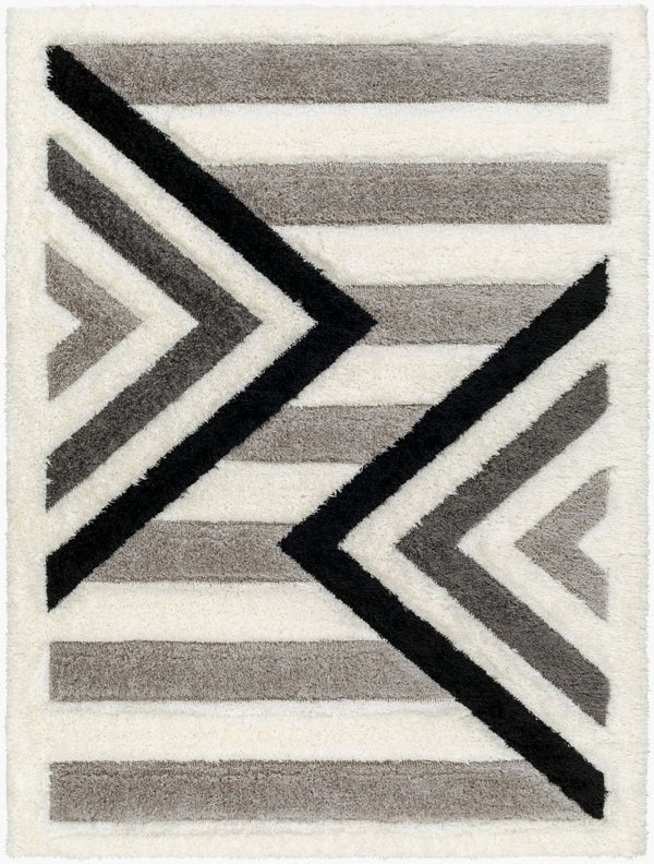 Livabliss Bologna Plush Turkish Polyester Area Rug for Modern Living Rooms and Bedroom Floors BOG2314-71010