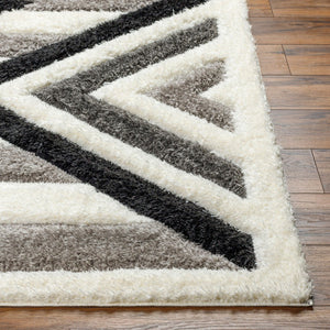 Livabliss Bologna Plush Turkish Polyester Area Rug for Modern Living Rooms and Bedroom Floors BOG2314-71010