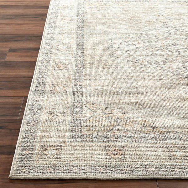 Livabliss Lila Traditional Polyester Accent Rug Machine Woven in Turkey for Entryways and Bedrooms White, Light Gr 2'2" x 3'9" BOLC2301-2239