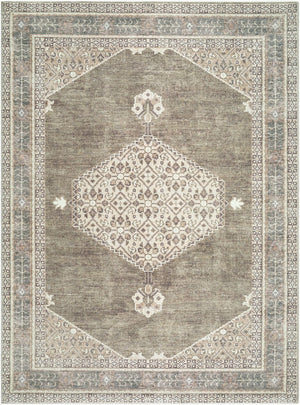 Livabliss Lila Traditional Polyester Indoor Rug Machine Woven Accent for Entryway or Bedroom Ivory, Olive 7'10" x 10' BOLC2304-71010