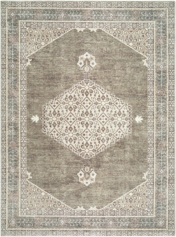 Livabliss Lila Traditional Polyester Indoor Rug Machine Woven Accent for Entryway or Bedroom Ivory, Olive 7'10" x 10' BOLC2304-71010