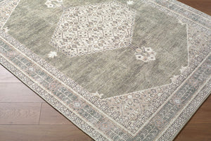 Livabliss Lila Traditional Polyester Indoor Rug Machine Woven Accent for Entryway or Bedroom Ivory, Olive 3'11" x 5'7" BOLC2304-31157