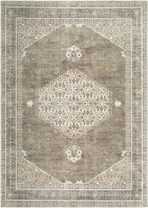 Livabliss Lila Traditional Polyester Indoor Rug Machine Woven Accent for Entryway or Bedroom Ivory, Olive 6'7" x 9' BOLC2304-679