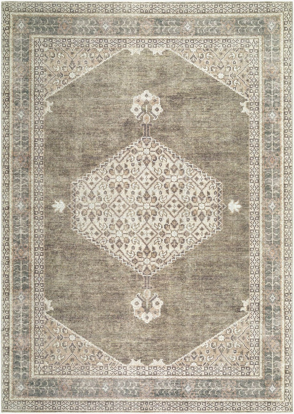 Livabliss Lila Traditional Polyester Indoor Rug Machine Woven Accent for Entryway or Bedroom Ivory, Olive 6'7" x 9' BOLC2304-679