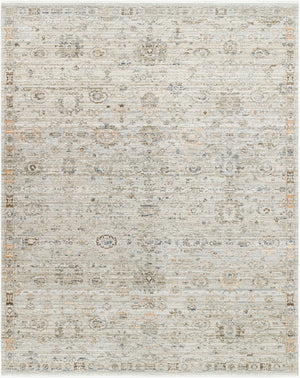Livabliss Margaret Flatweave Polyester Area Rug with Fringe for Living Room Patio or Sunroom Taupe, Gray 7'10" x 10' BOMG2303-71010