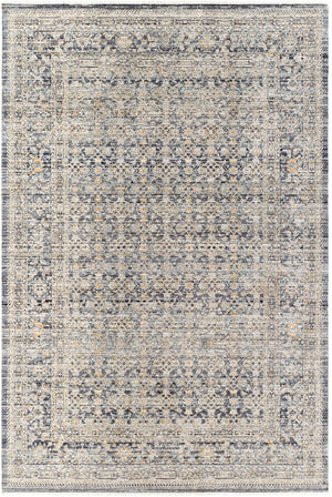 Livabliss Margaret Fringe Runner Rug Polyester Woven Hallway Entryway Indoor Outdoor Accent Taupe, Black 5'3" x 7'10" BOMG2308-53710