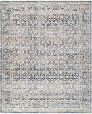 Livabliss Margaret Fringe Runner Rug Polyester Woven Hallway Entryway Indoor Outdoor Accent Taupe, Black 7'10" x 10' BOMG2308-71010