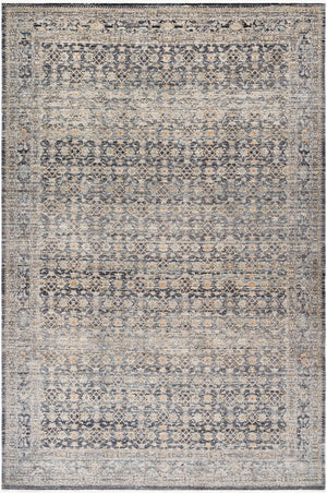 Livabliss Margaret Fringe Runner Rug Polyester Woven Hallway Entryway Indoor Outdoor Accent Taupe, Black 9' x 13'1" BOMG2308-9131
