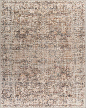 Livabliss Marlene Classic Patterned Polyester Area Rug for Living Room and Open Spaces Dark Brown, Bei 3'10" x 5'7" BOMN2301-31157