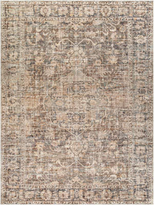 Livabliss Marlene Classic Patterned Polyester Area Rug for Living Room and Open Spaces Dark Brown, Bei 9'1" x 12' BOMN2301-9212