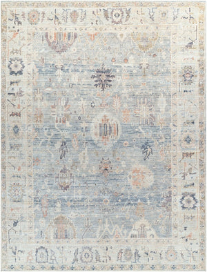 Livabliss Marlene Traditional Turkish Machine Woven Polyester Area Rug for Large Living Spaces Pale Blue, Dust 7'9" x 10' BOMN2306-71010