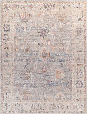 Marlene BOMN-2306 7'9" x 10' Machine Woven Rug BOMN2306-71010 Livabliss Surya