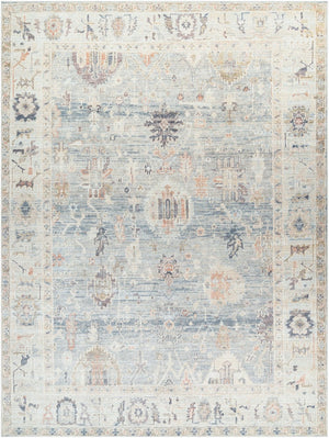 Livabliss Marlene Traditional Turkish Machine Woven Polyester Area Rug for Large Living Spaces Pale Blue, Dust 9'1" x 12' BOMN2306-9212