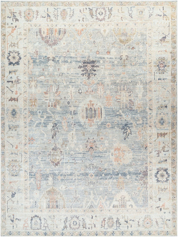 Livabliss Marlene Traditional Turkish Machine Woven Polyester Area Rug for Large Living Spaces Pale Blue, Dust 9'1" x 12' BOMN2306-9212