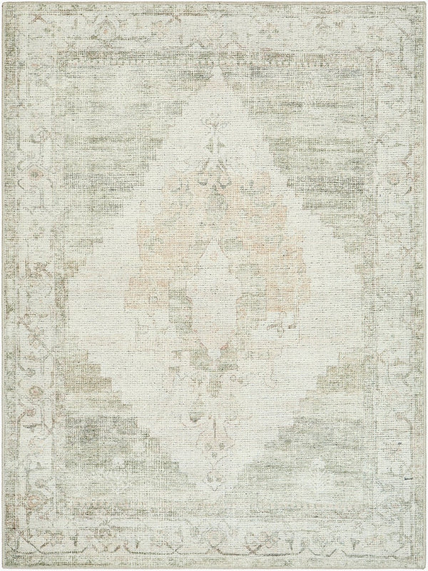 Livabliss Luca Traditional Pattern Polyester Accent Rug for Entryways Bathrooms and Beside Beds Ivory, Olive 9'2" x 12' BONC2302-9212