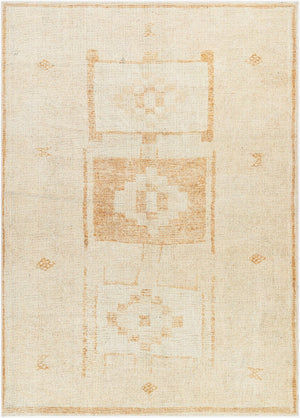 Livabliss Solana Machine Woven Polyester Area Rug Bohemian Global Pattern for Entryway or Bedroom Burnt Orange, I 2'2" x 3'9" BOOC2300-2239