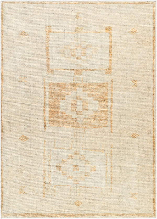 Livabliss Solana Machine Woven Polyester Area Rug Bohemian Global Pattern for Entryway or Bedroom Burnt Orange, I 2'2" x 3'9" BOOC2300-2239