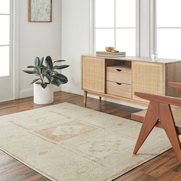 Livabliss Solana Machine Woven Polyester Area Rug Bohemian Global Pattern for Entryway or Bedroom Burnt Orange, I 2'2" x 3'9" BOOC2300-2239
