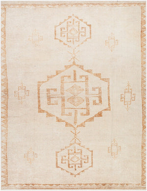 Livabliss Solana Machine Woven Polyester Accent Rug with Global Pattern for Entryway or Bedroom Ivory, Burnt Or 5'3" x 7' BOOC2301-537