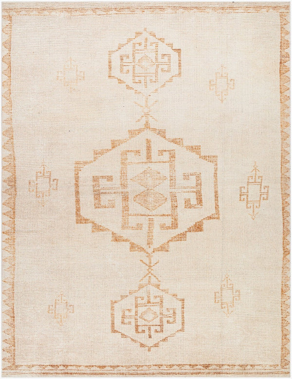 Livabliss Solana Machine Woven Polyester Accent Rug with Global Pattern for Entryway or Bedroom Ivory, Burnt Or 5'3" x 7' BOOC2301-537