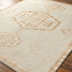 Livabliss Solana Machine Woven Polyester Accent Rug with Global Pattern for Entryway or Bedroom Ivory, Burnt Or 5'3" x 7' BOOC2301-537
