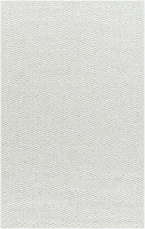 Livabliss Birdie Flatweave Polypropylene Outdoor Rug Turkish Woven for Patios and Entryways Ivory, Light Be 5'1" x 7' BORD2301-517