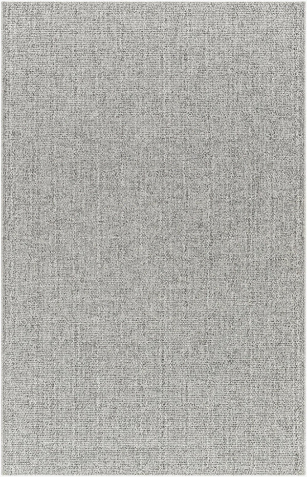 Livabliss Birdie Flatweave Polypropylene Accent Rug Turkey Woven Outdoor Patio Entryway Gray, Light Bei 1'11" x 2'11" BORD2302-111211