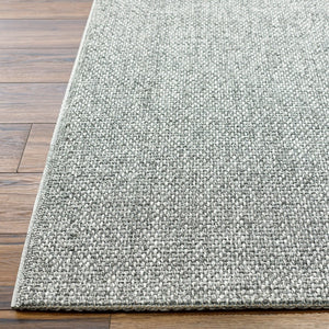 Livabliss Birdie Flatweave Polypropylene Accent Rug Turkey Woven Outdoor Patio Entryway Gray, Light Bei 1'11" x 2'11" BORD2302-111211