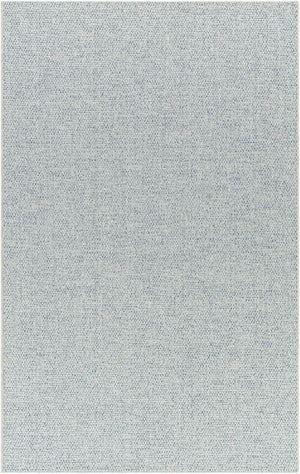 Livabliss Birdie Flatweave Polypropylene Rug Turkish Woven for Patio Entryway or Kitchen Floor Light Gray, Den 1'11" x 2'11" BORD2304-111211