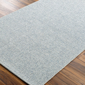 Livabliss Birdie Flatweave Polypropylene Rug Turkish Woven for Patio Entryway or Kitchen Floor Light Gray, Den 1'11" x 2'11" BORD2304-111211