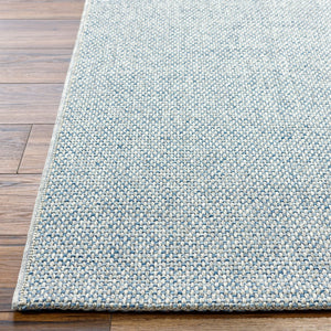 Livabliss Birdie Flatweave Polypropylene Rug Turkish Woven for Patio Entryway or Kitchen Floor Light Gray, Den 1'11" x 2'11" BORD2304-111211