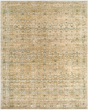 Surya Renaissance Handcrafted 2'11" X 9'10" Traditional Wool Area Rug With Elegant Fringe - Timeless Charm Light Beige Wool Bori2306-710910
