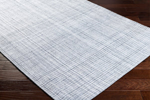 Livabliss Sammy Flatweave Accent Rug Handwoven Recycled Pet Yarn Entryway and Bath Decor Light Slate, Ch 2' x 3' BOSM2301-23
