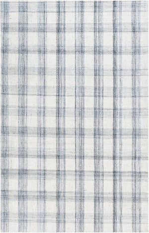 Livabliss Sammy Eco Friendly Flatweave Area Rug Handwoven Recycled Pet for Entryway Kitchen Light Slate, Ch 9' x 12' BOSM2303-912