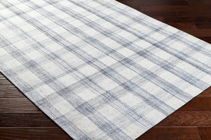 Livabliss Sammy Eco Friendly Flatweave Area Rug Handwoven Recycled Pet for Entryway Kitchen Light Slate, Ch 9' x 12' BOSM2303-912