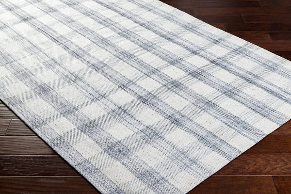 Livabliss Sammy Eco Friendly Flatweave Area Rug Handwoven Recycled Pet for Entryway Kitchen Light Slate, Ch 9' x 12' BOSM2303-912