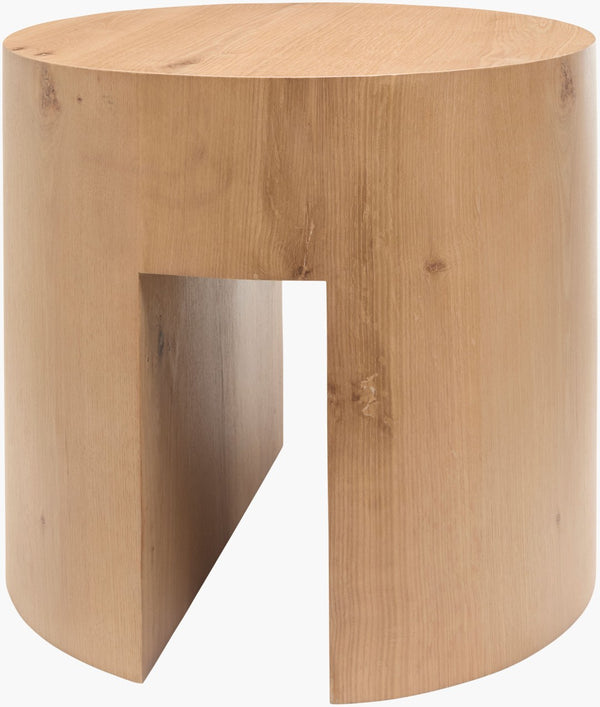 Surya Whitly Oak Veneer Cube End Table Minimalist Square Side for Modern Living Spaces BOWT002-222222