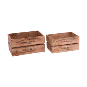 English Bulbs Box - Set of 2 Natural BOX002 Elk Home