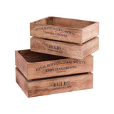 English Bulbs Box - Set of 2 Natural BOX002 Elk Home