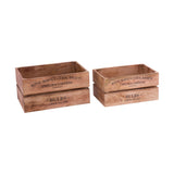 English Bulbs Box - Set of 2 Natural