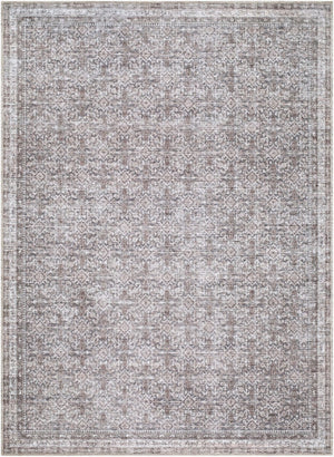 Livabliss Zafira Machine Woven Polyester Accent Rug with Traditional Pattern for Entryways Taupe, Ivory 2' x 2'11" BOZF2302-2211