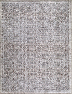 Livabliss Zafira Machine Woven Polyester Accent Rug with Traditional Pattern for Entryways Taupe, Ivory 7'10" x 10' BOZF2302-71010